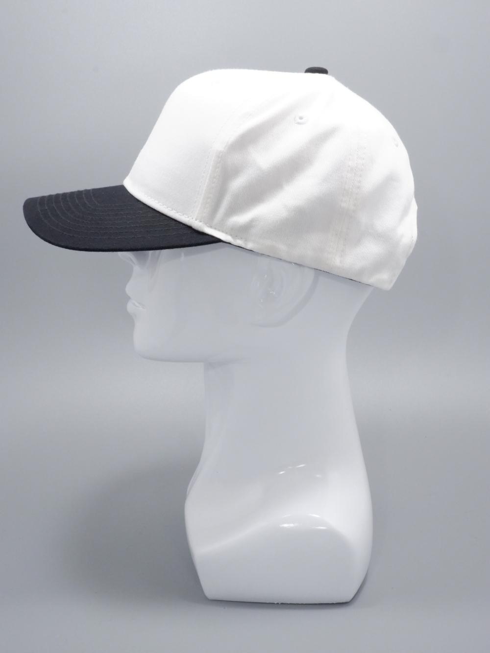 hatW341b